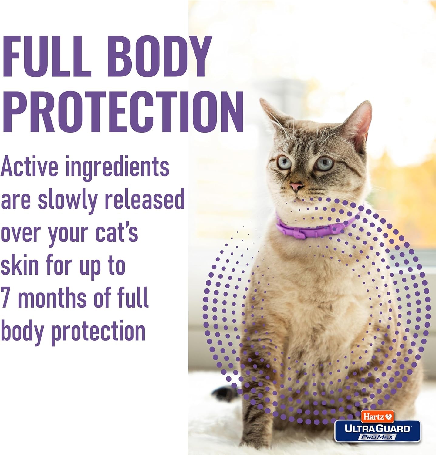 Cat Flea Tick Collar 2 Pack