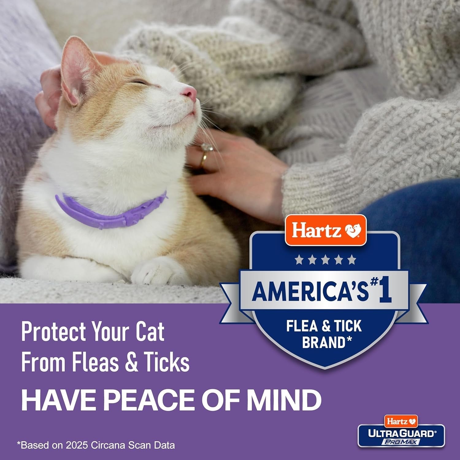 Cat Flea Tick Collar 2 Pack