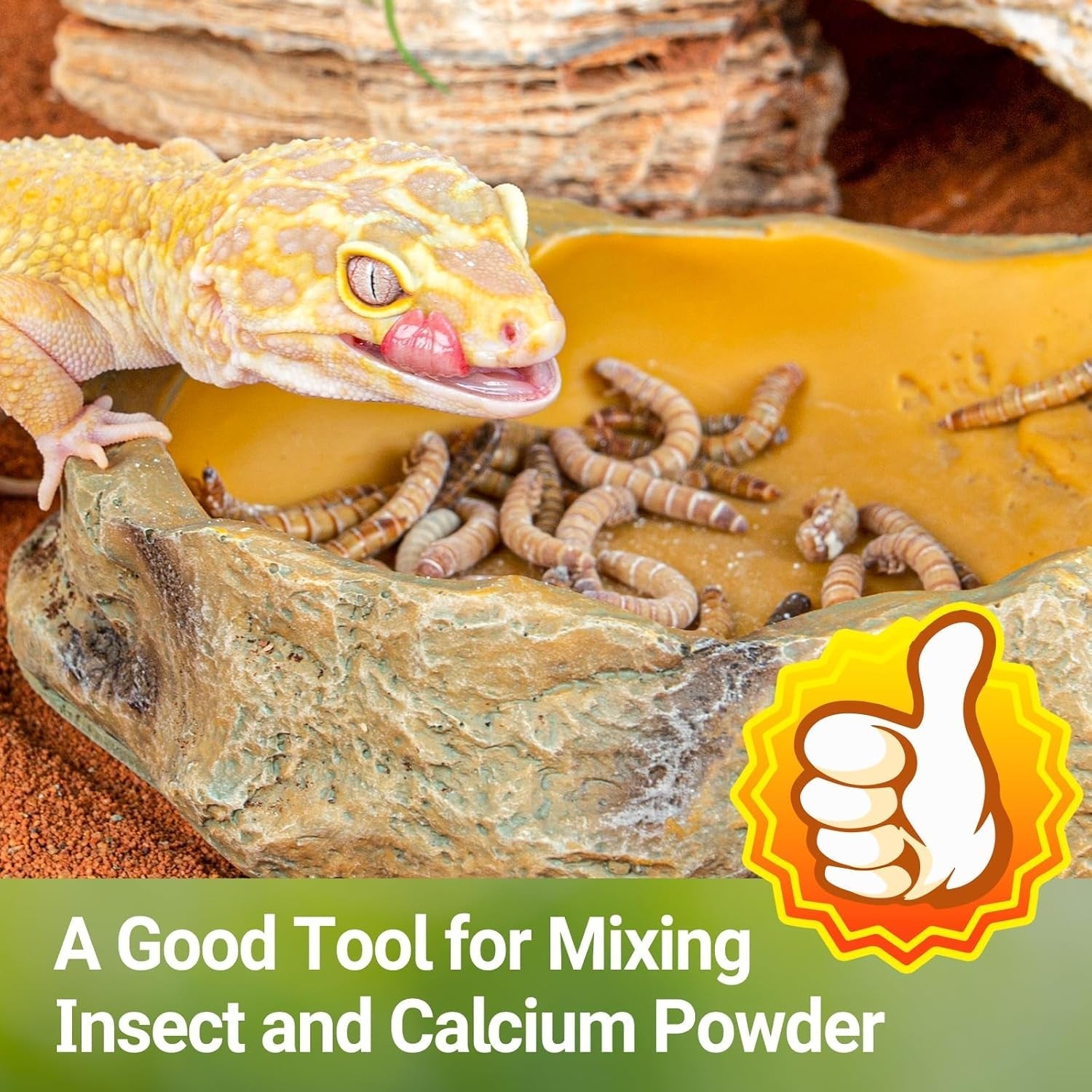 Cricket Keeper/ Calcium Powder Mixer & Feeder Dispenser for Reptiles