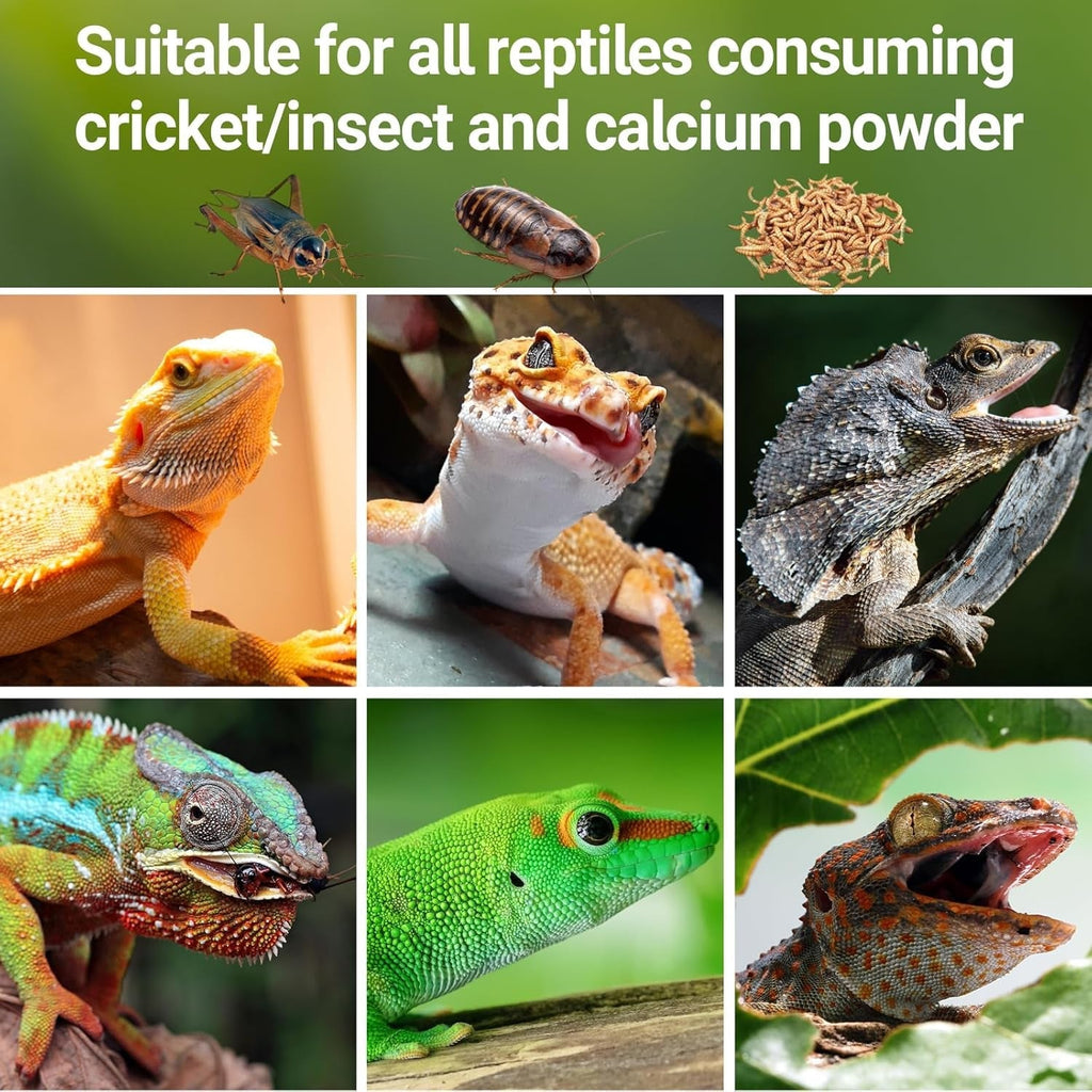 Cricket Keeper/ Calcium Powder Mixer & Feeder Dispenser for Reptiles
