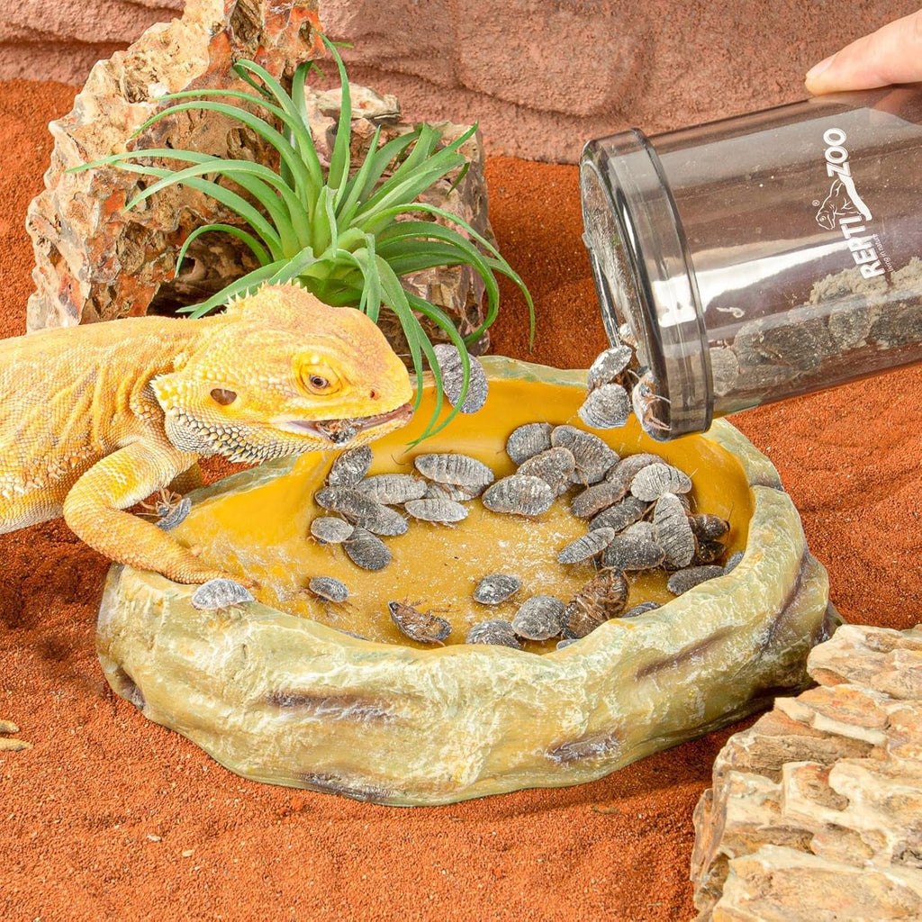 Cricket Keeper/ Calcium Powder Mixer & Feeder Dispenser for Reptiles