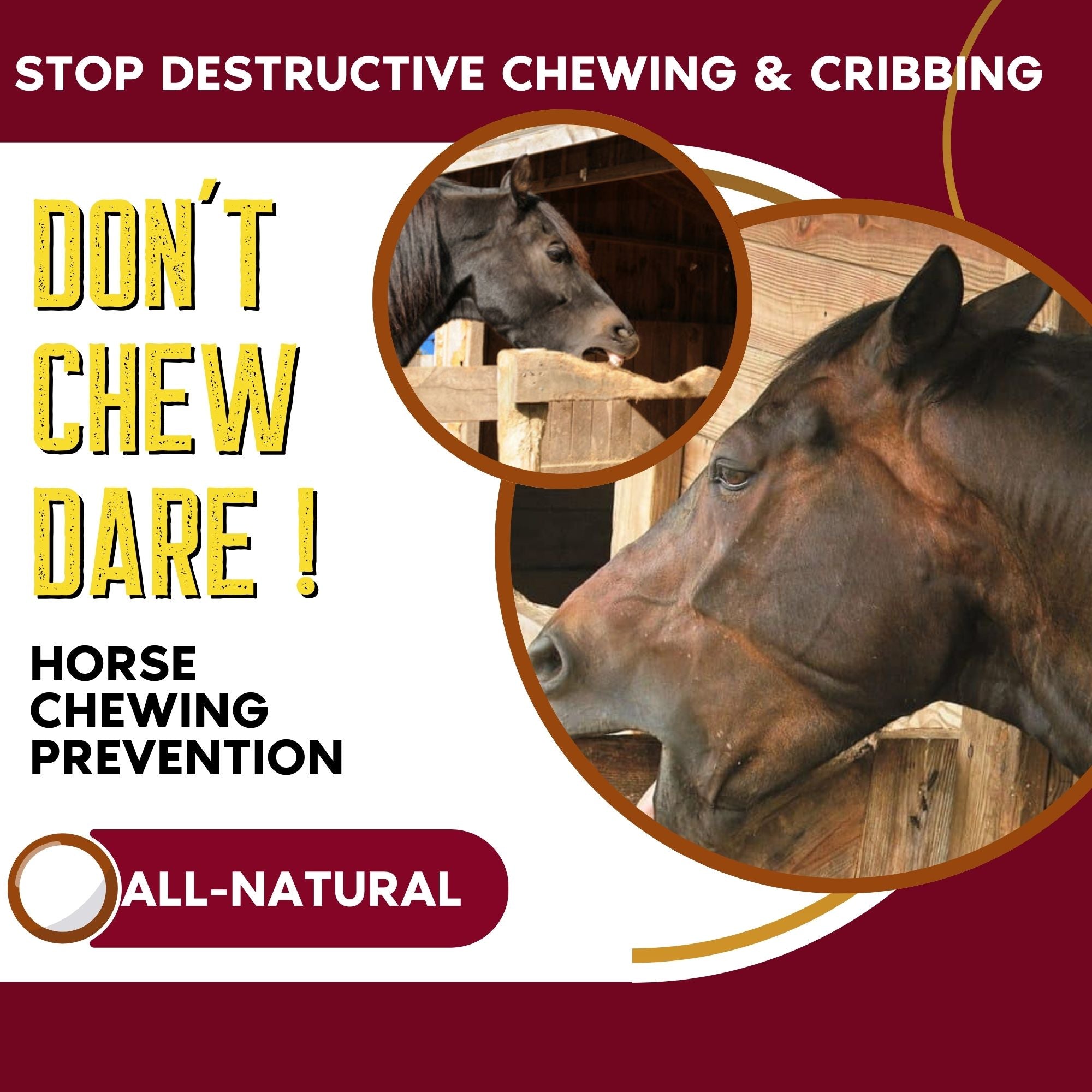 Don't Chew Dare! Horse Chewing Prevention