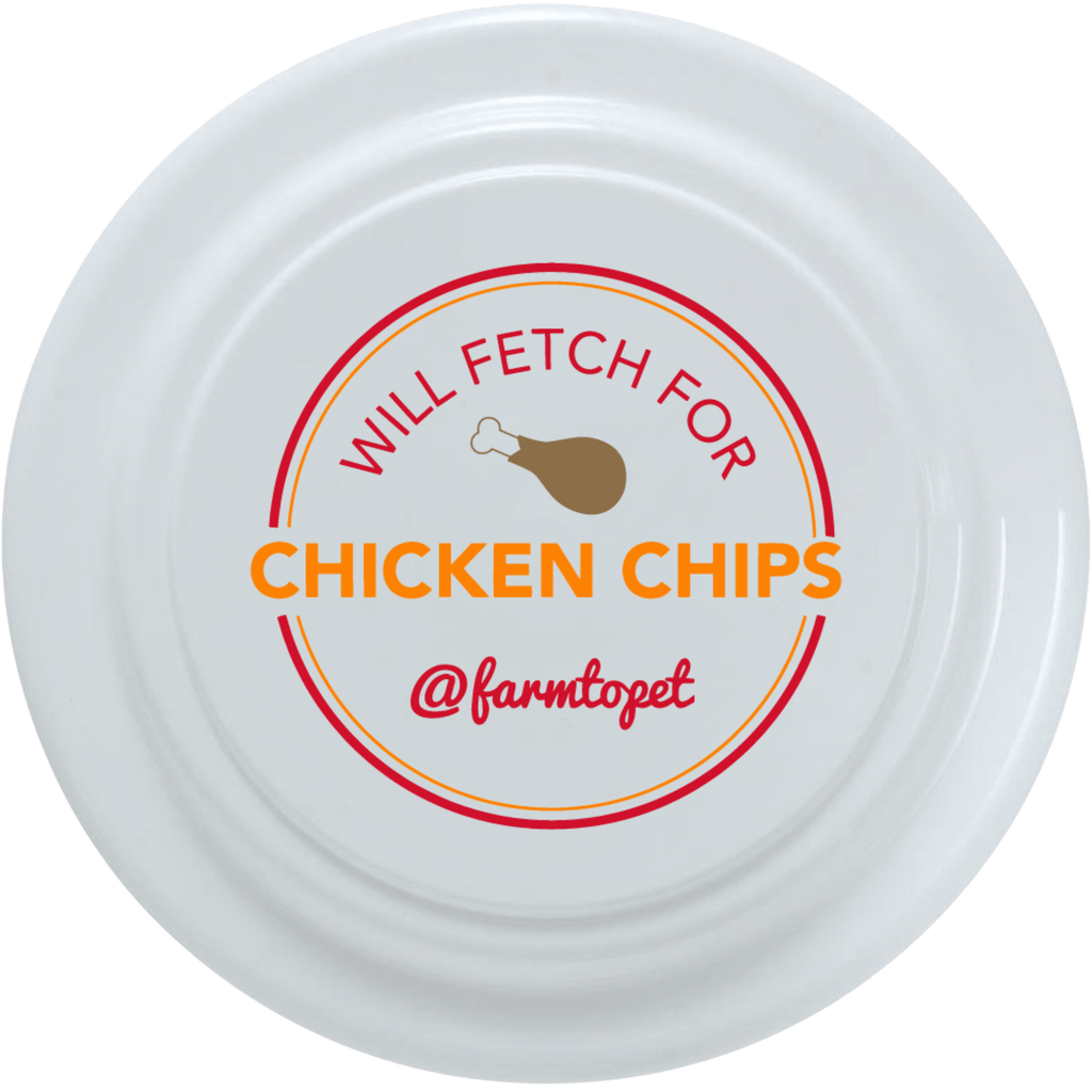 Fun Frisbee for Dogs and Humans