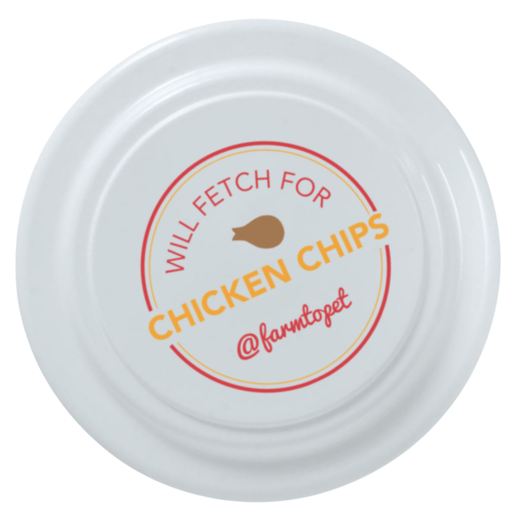 Fun Frisbee for Dogs and Humans