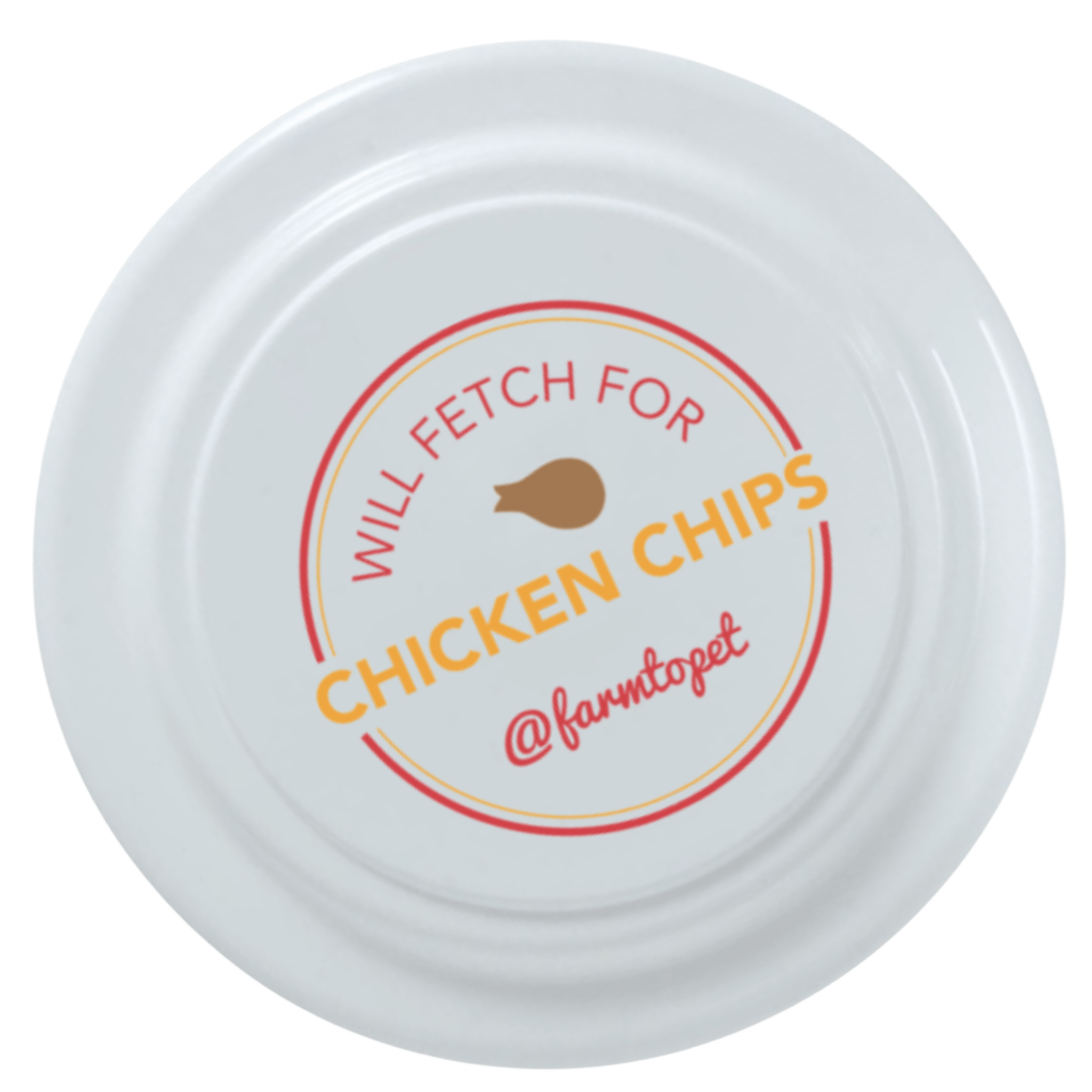 Fun Frisbee for Dogs and Humans