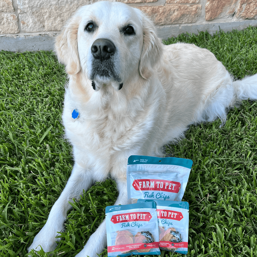 Dog Treats for Training & Travel
