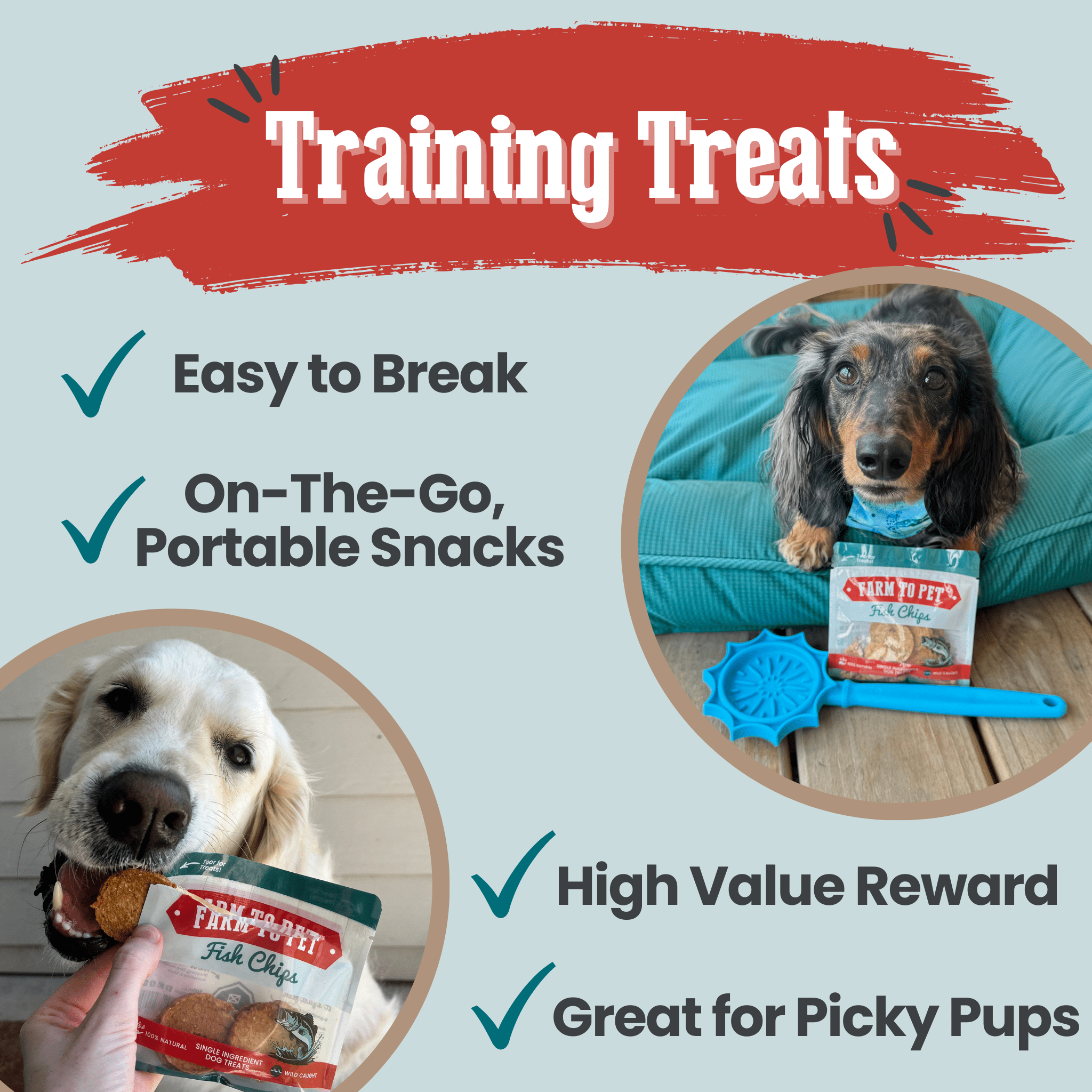 Dog Treats for Training & Travel
