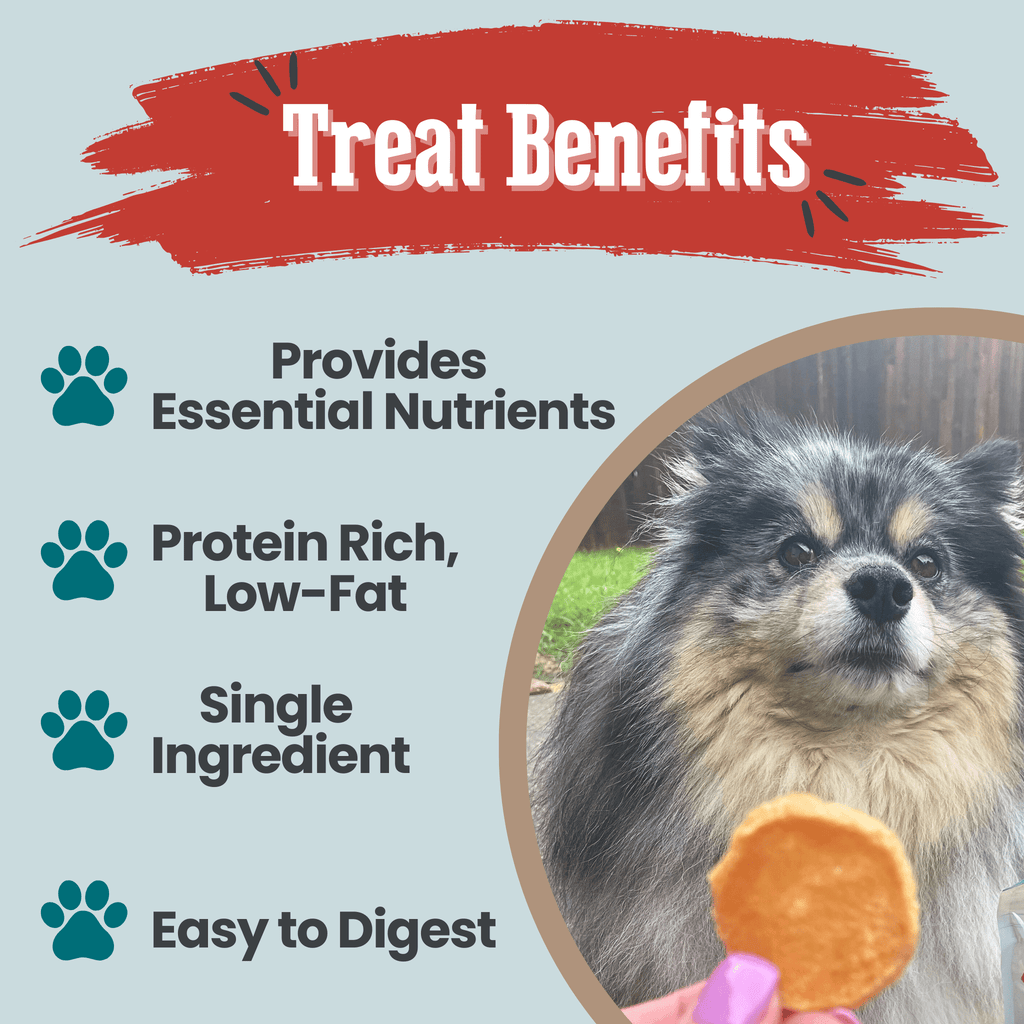 Dog Treats for Training & Travel