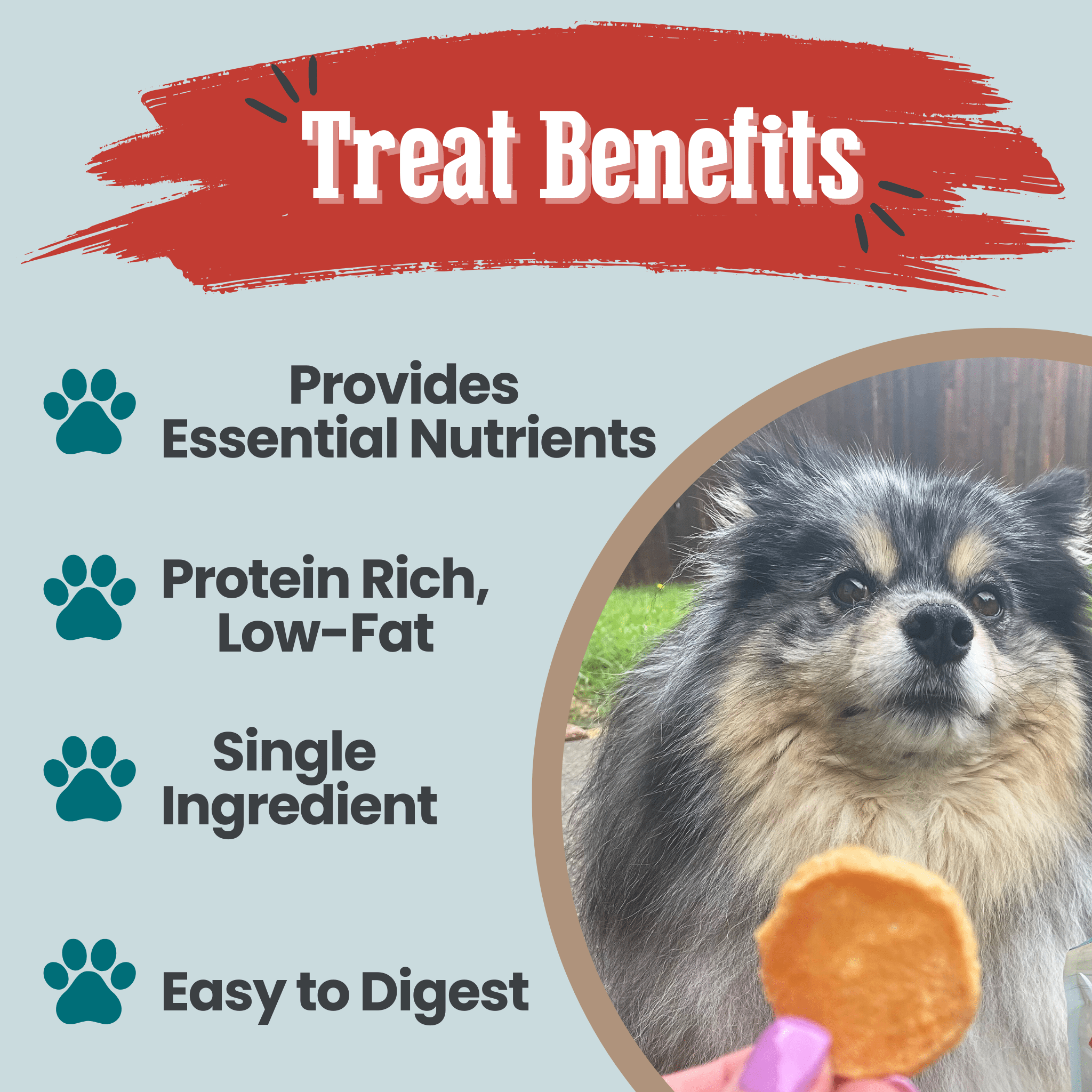 Dog Treats for Training & Travel