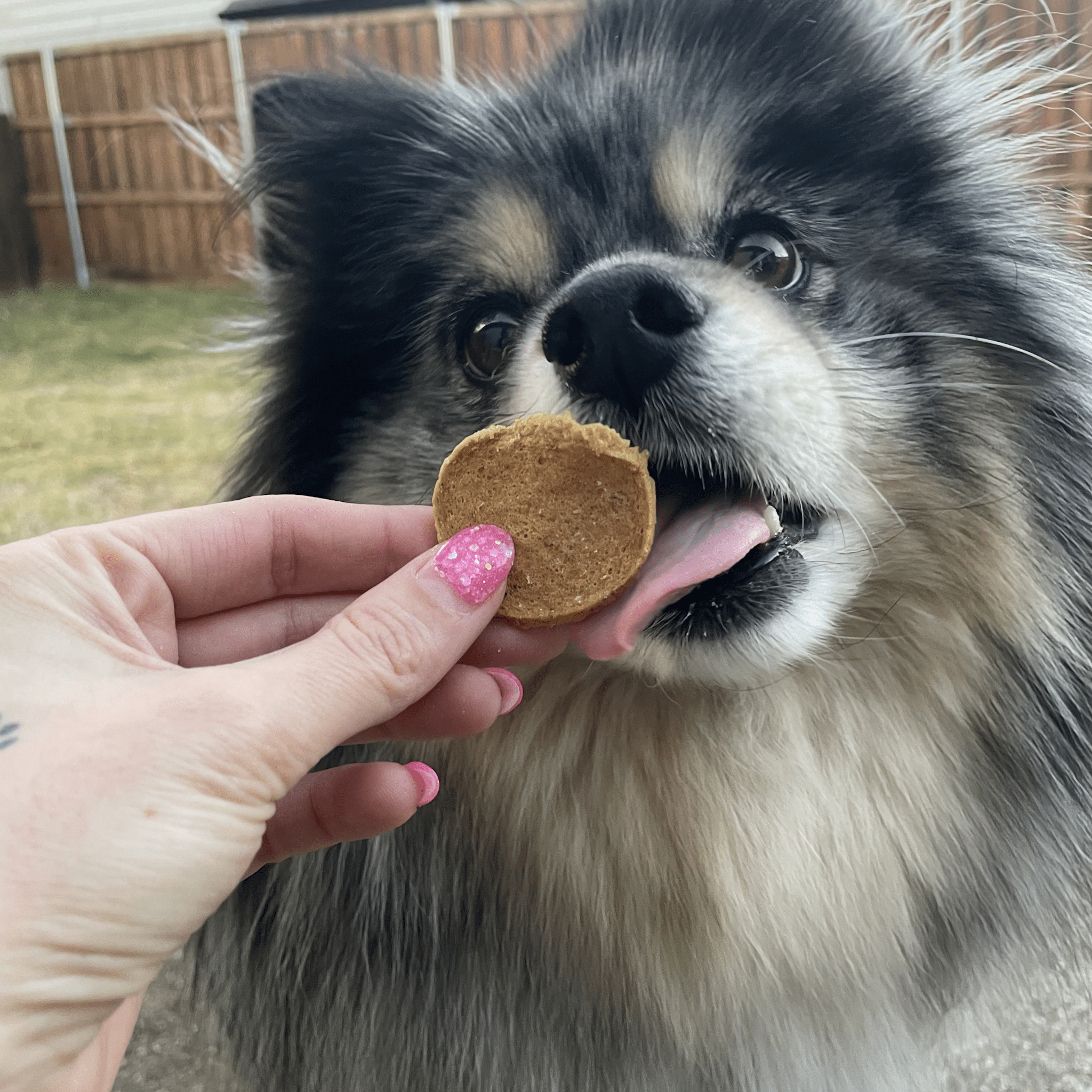 Wild-Caught Fish Dog Treats