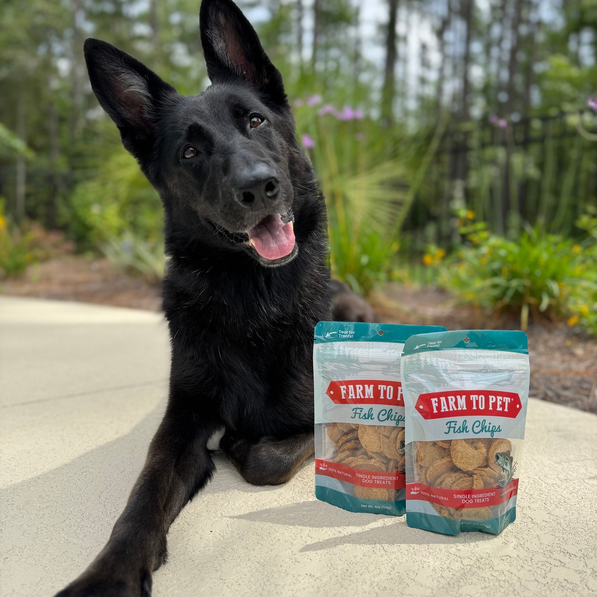 Wild-Caught Fish Dog Treats