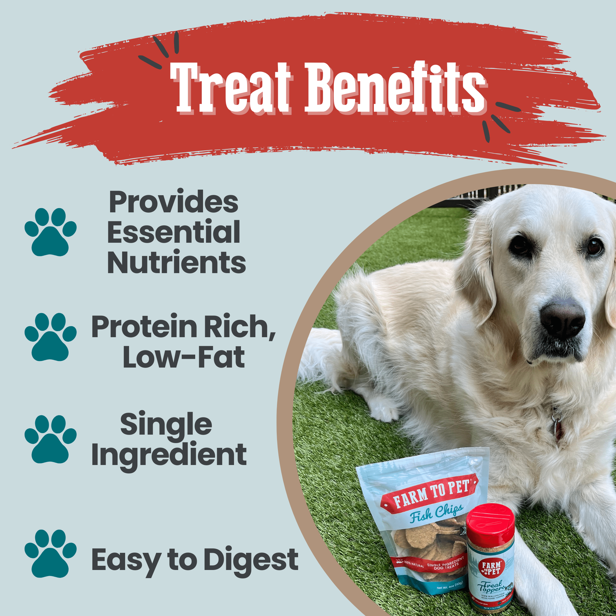 Wild-Caught Fish Dog Treats