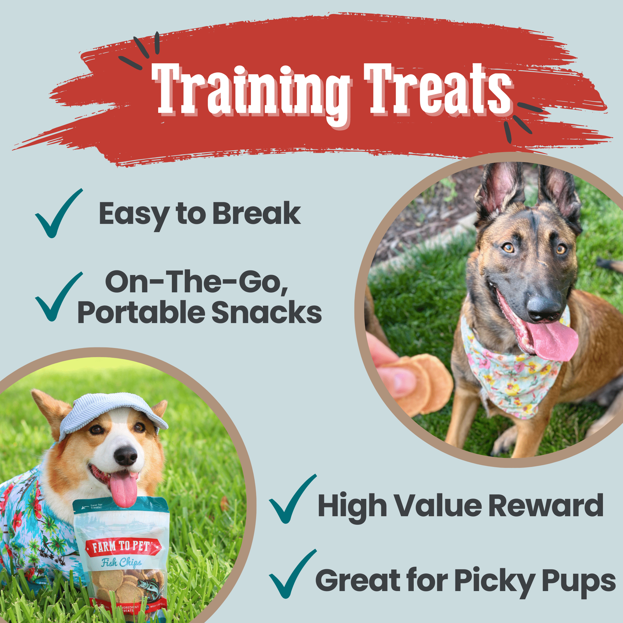 Wild-Caught Fish Dog Treats