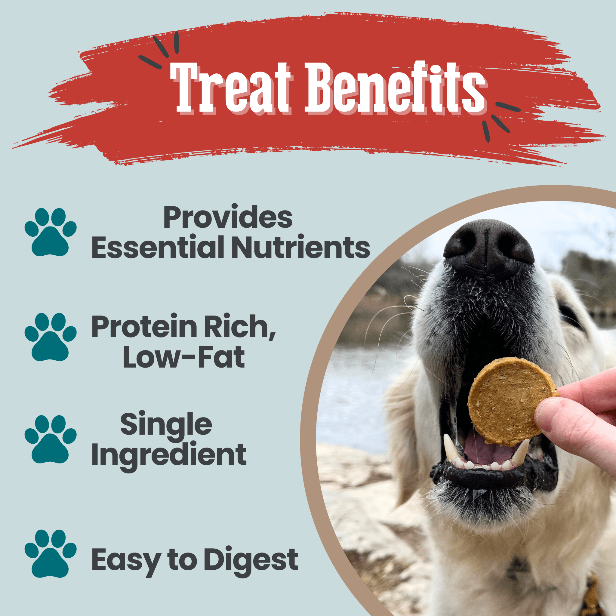 Wild-Caught Fish Dog Treats
