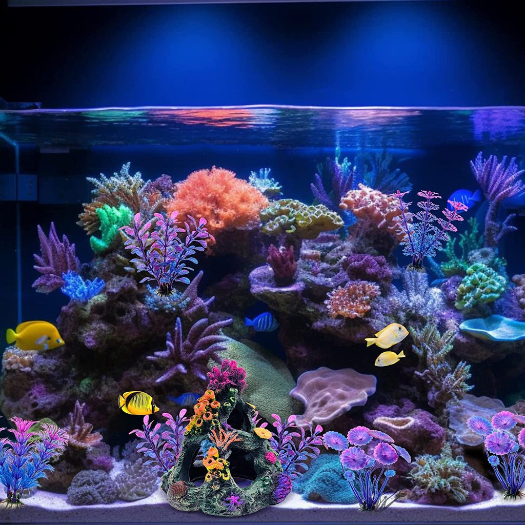 Coral Reef Set for Fish Tanks