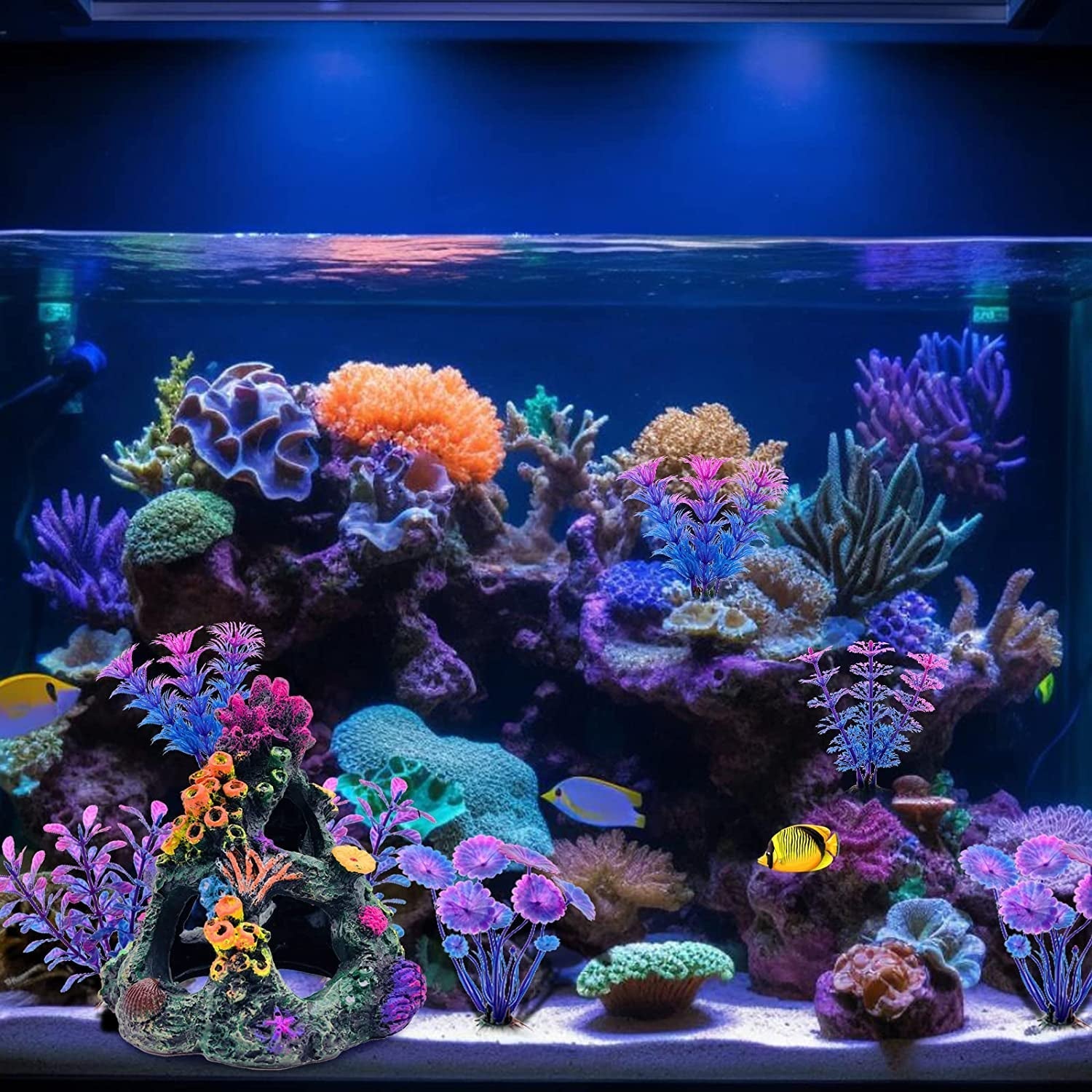 Coral Reef Set for Fish Tanks