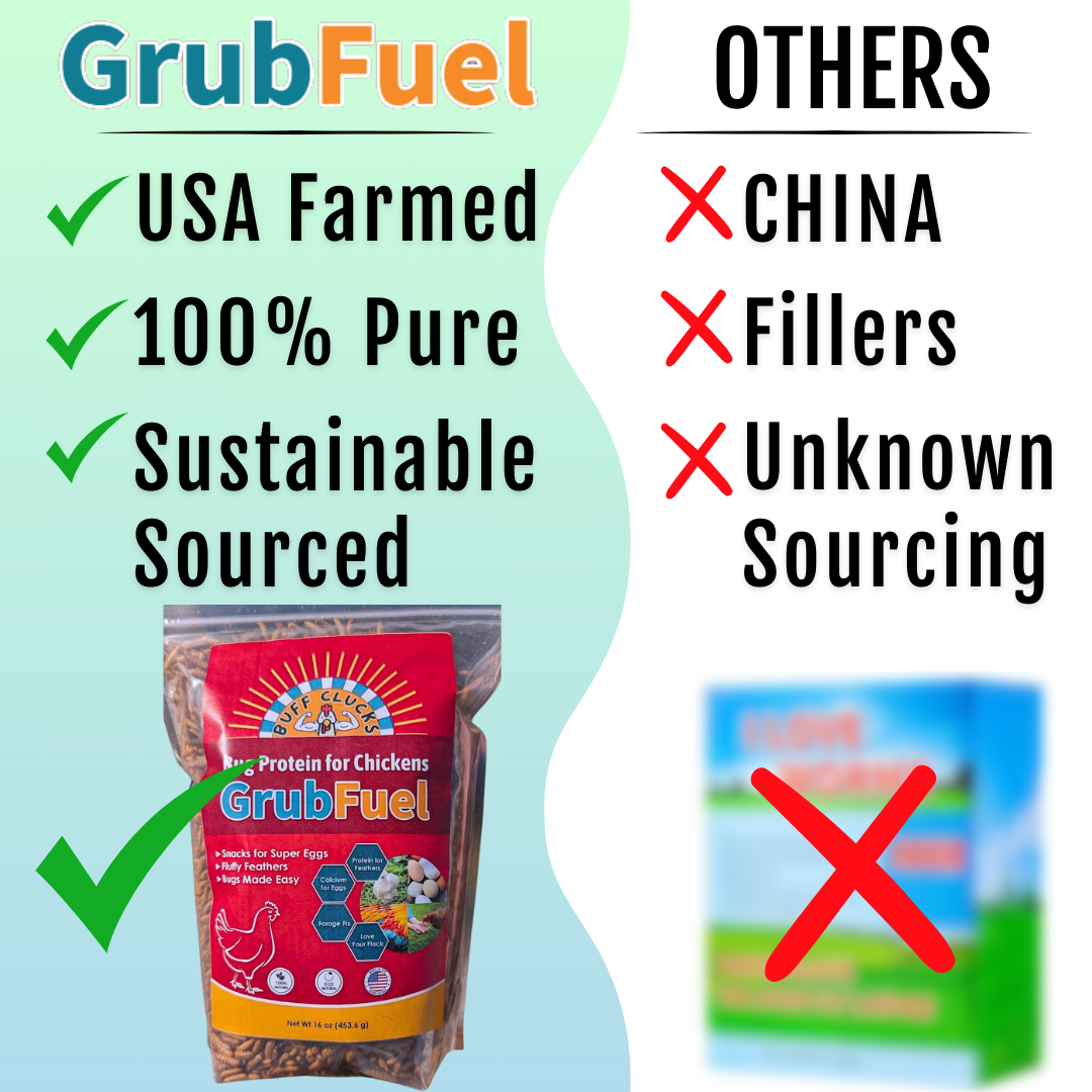 Black Soldier Fly Larvae for chickens