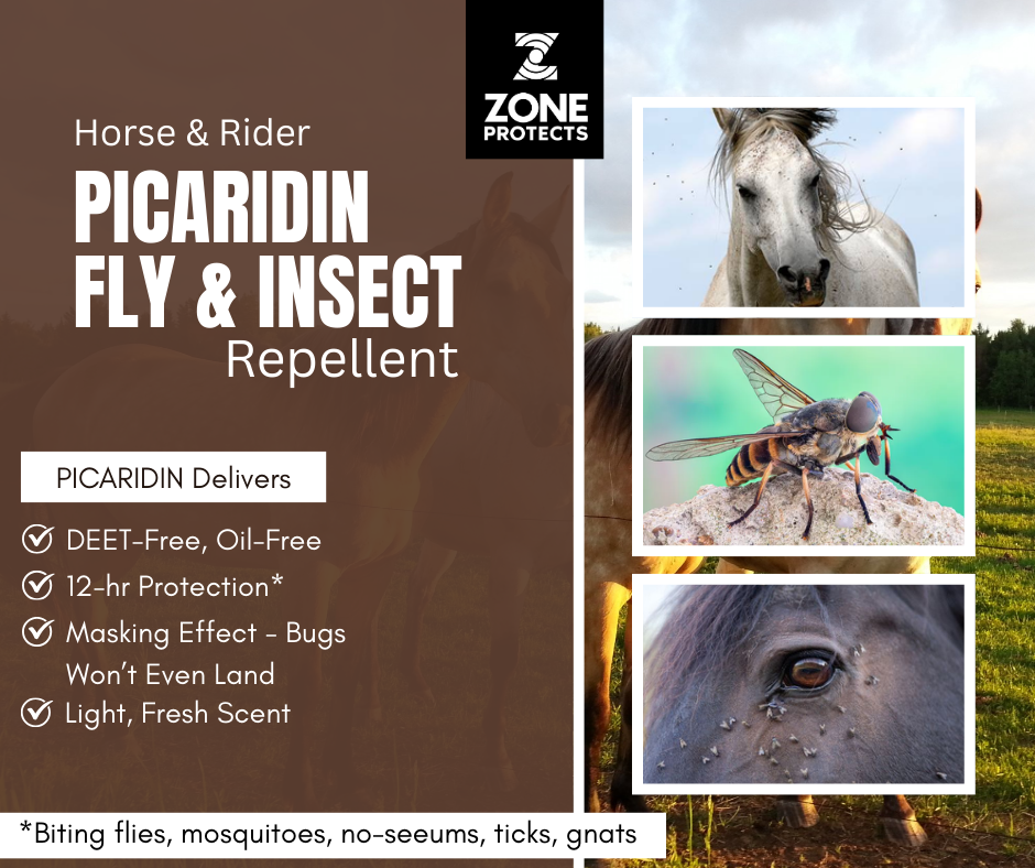 Horse & Rider Fly & Insect Repellent Refill, 32oz
