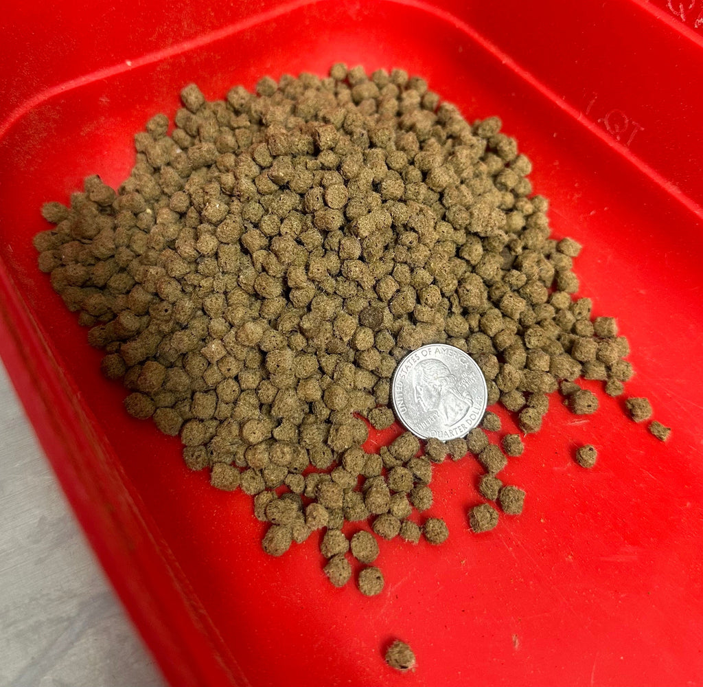 Reptile Pellets - 25/25/50 Omnivore blend + Insects