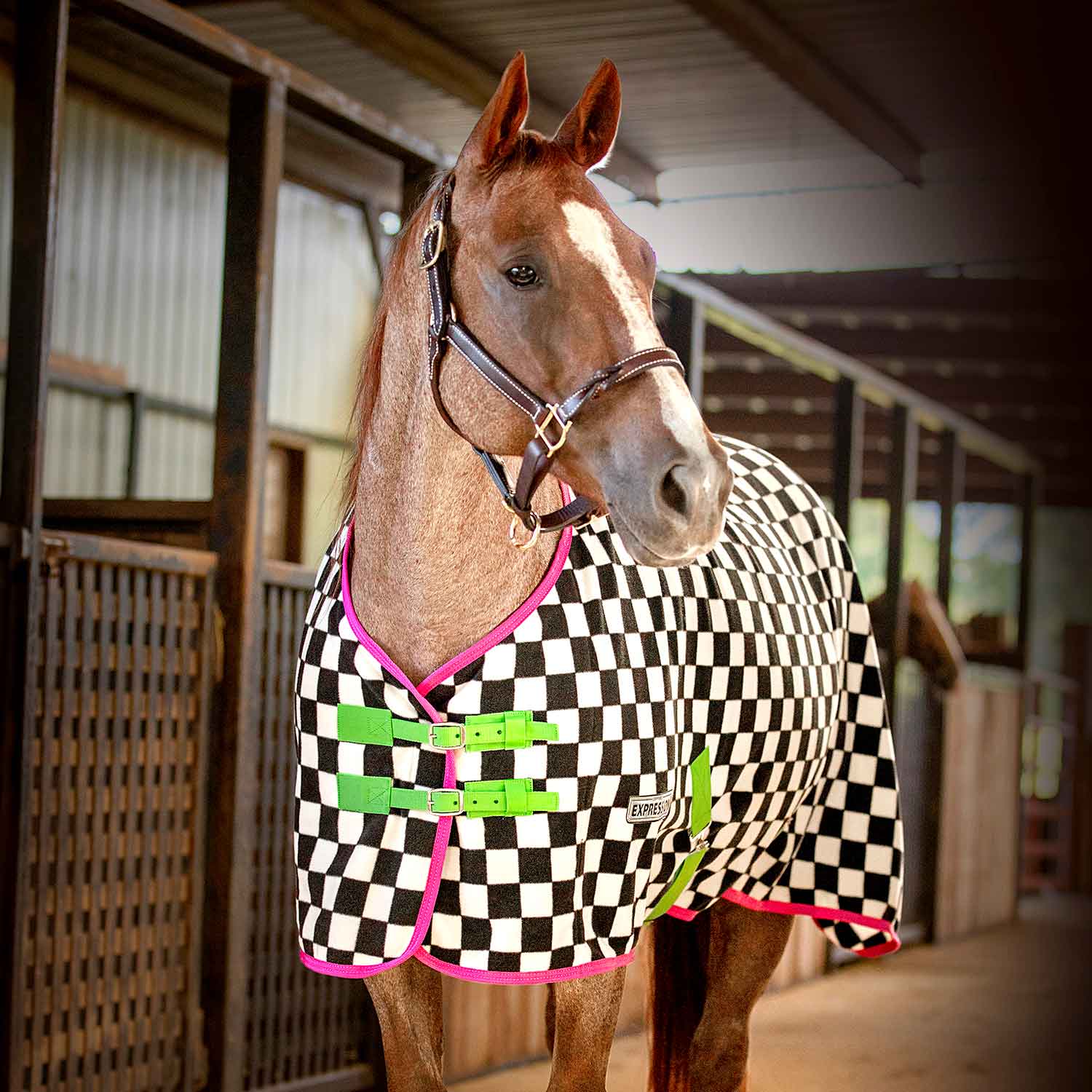 Jeffers Expression Standard Neck Fleece Horse Cooler