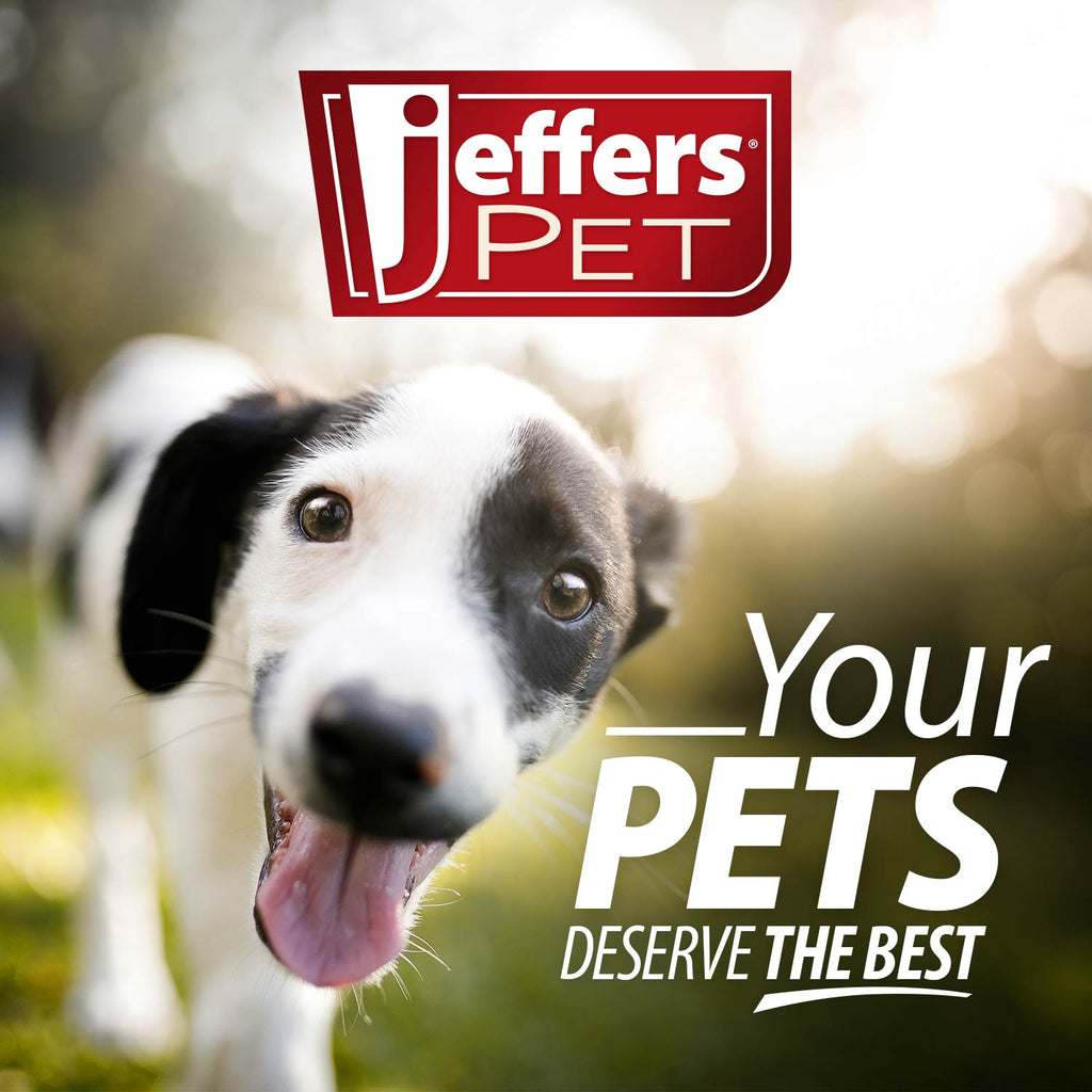 Jeffers Carrot Natural Rubber Treat Dispensing Dog Chew Toy
