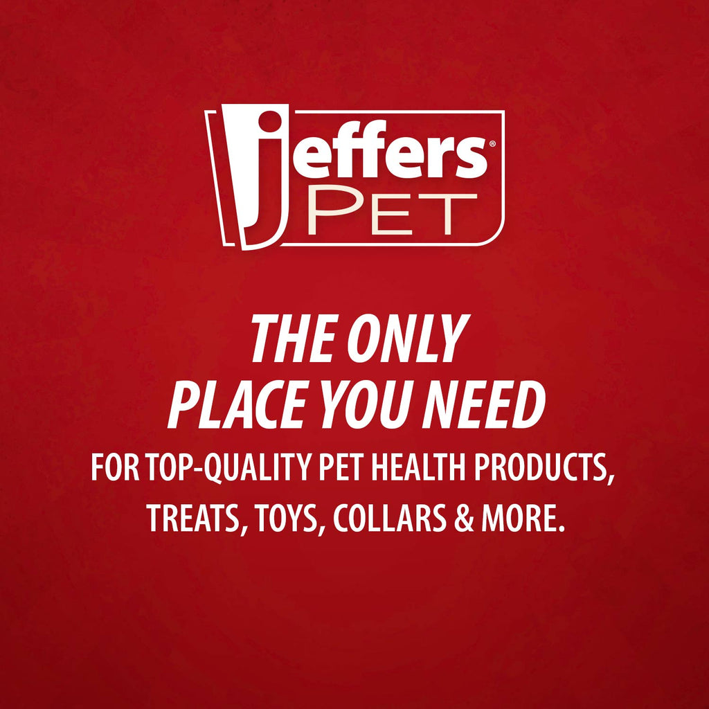 Jeffers Carrot Natural Rubber Treat Dispensing Dog Chew Toy