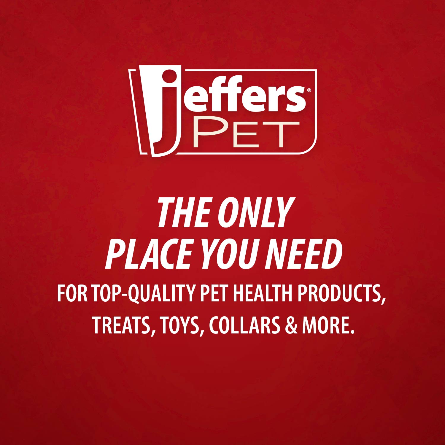 Jeffers Carrot Natural Rubber Treat Dispensing Dog Chew Toy