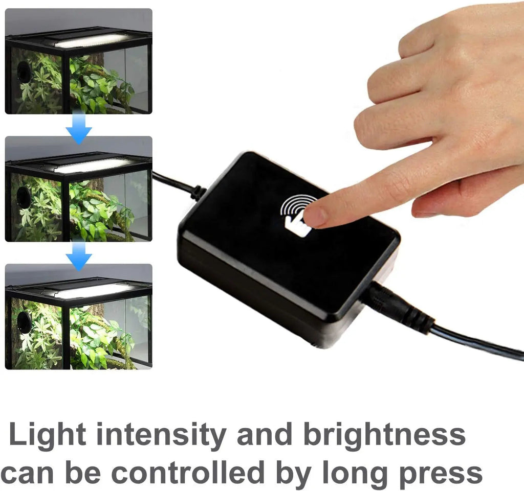 3-Mode Day/Night Aquarium Lamp for Reptiles & Fish
