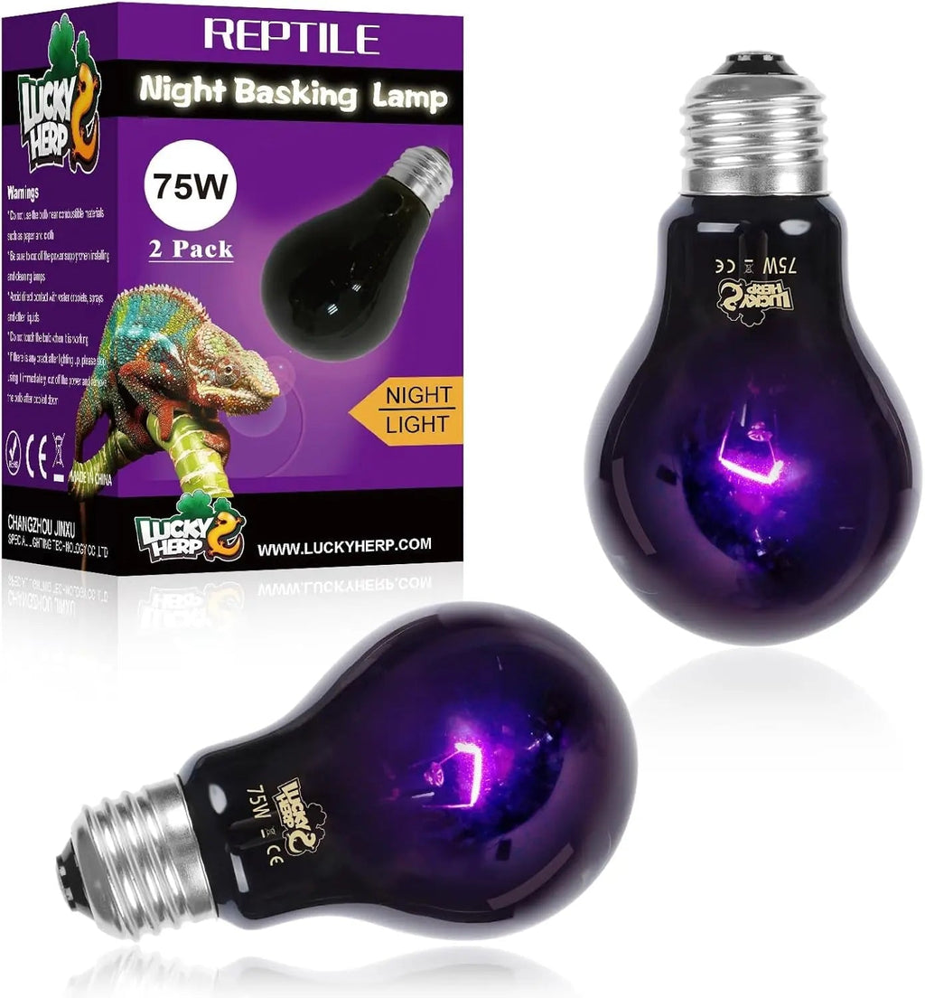 Reptile Night Heat Bulb/ 2 Pack