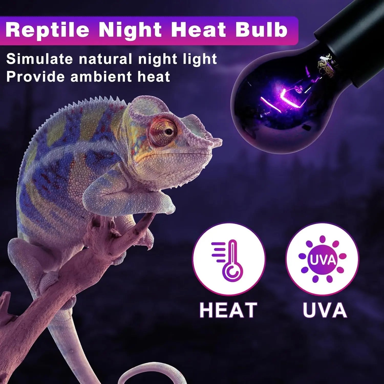 Reptile Night Heat Bulb/ 2 Pack