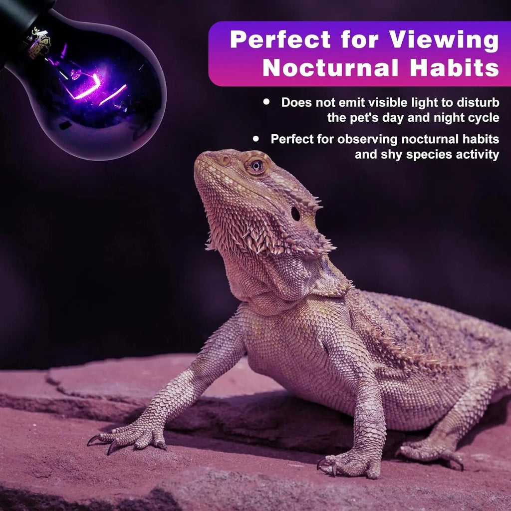 Reptile Night Heat Bulb/ 2 Pack