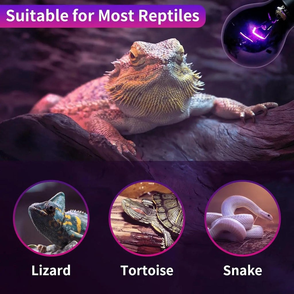 Reptile Night Heat Bulb/ 2 Pack