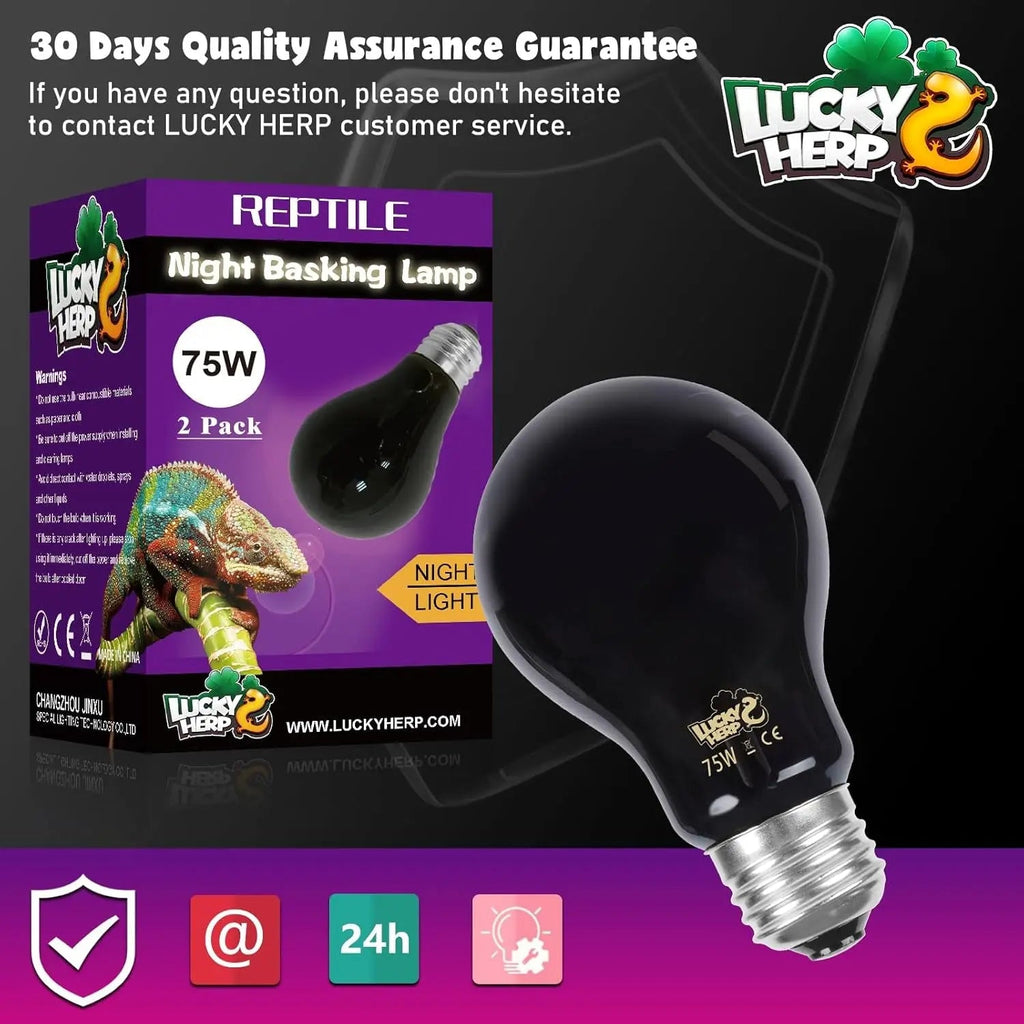 Reptile Night Heat Bulb/ 2 Pack