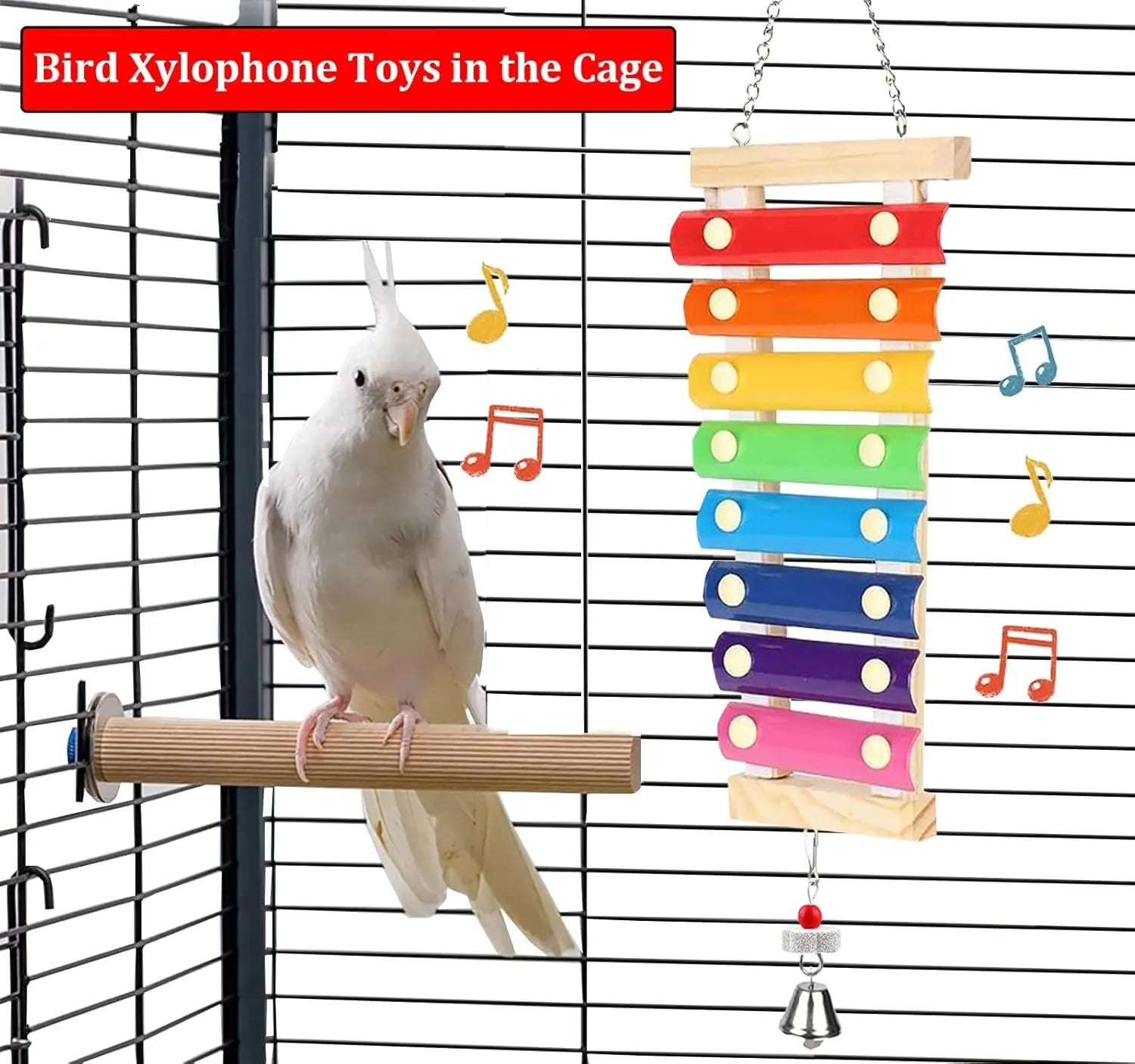 Large Xylophone Toy with Grinding Stone for Birds