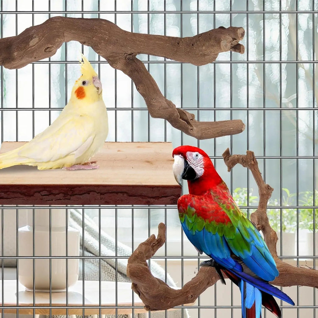 Natural Bird Perch Set – 6PC Grapewood & Peppercorn Branch Perches, Toys