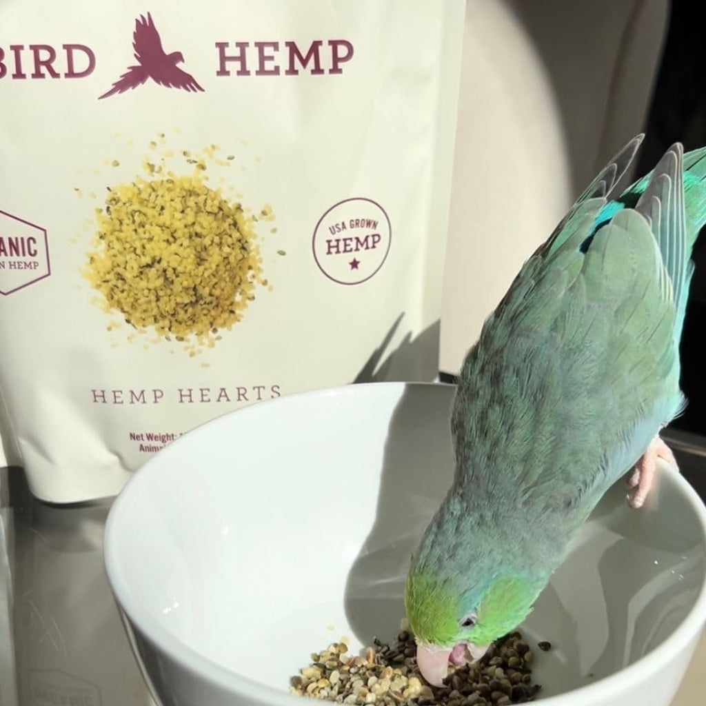 Organic Hemp Hearts for Birds