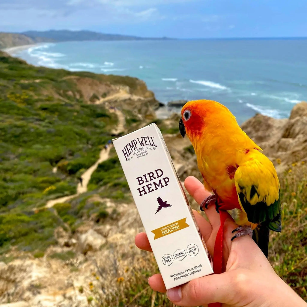 Organic Hemp Oil for Birds / 2oz