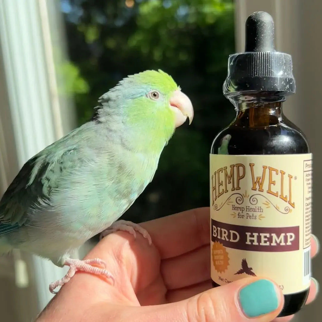 Organic Hemp Oil for Birds / 2oz