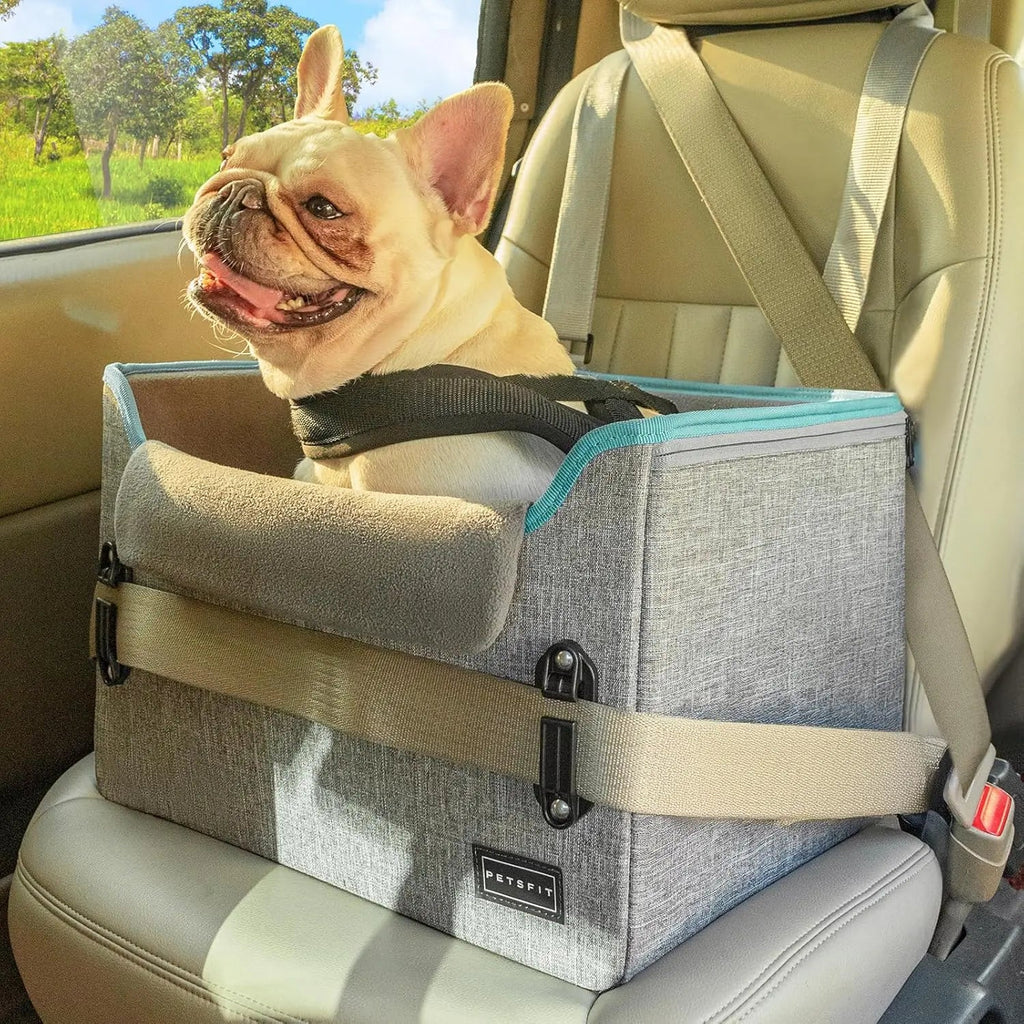 Small Dog Booster Car Seat