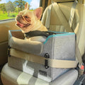 Small Dog Booster Car Seat