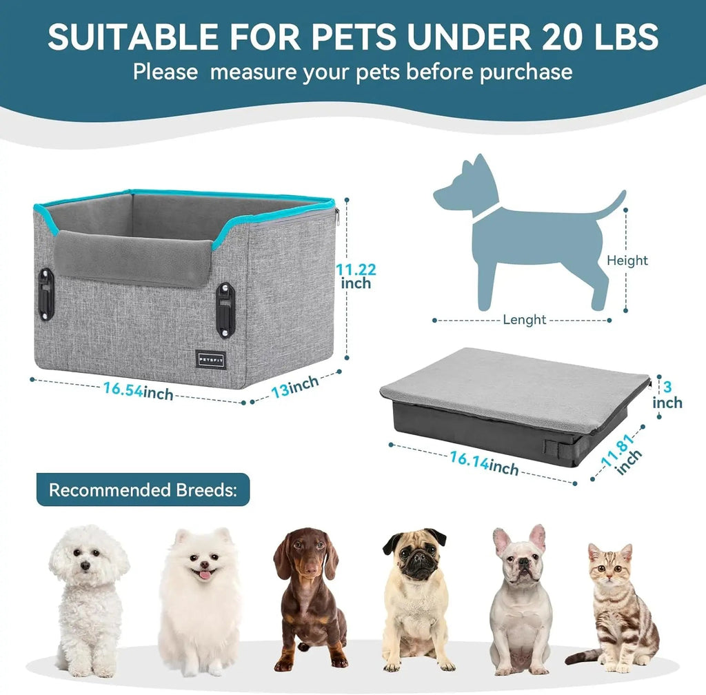 Small Dog Booster Car Seat