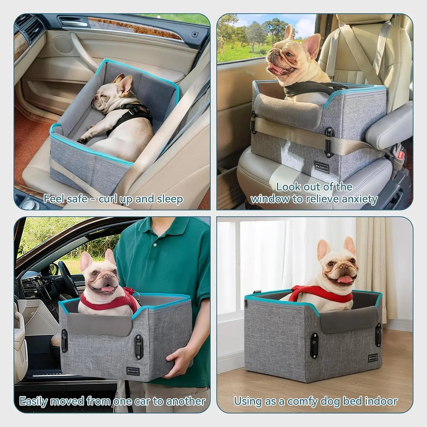 Small Dog Booster Car Seat