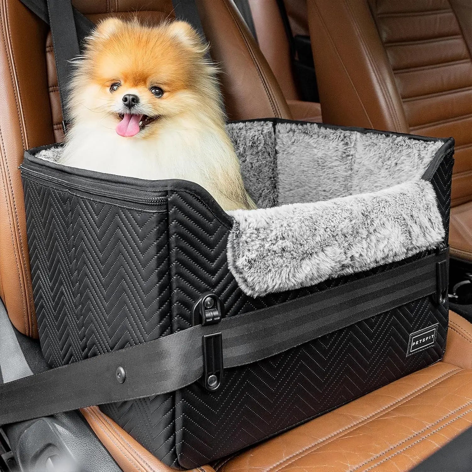 Small Dog Booster Car Seat