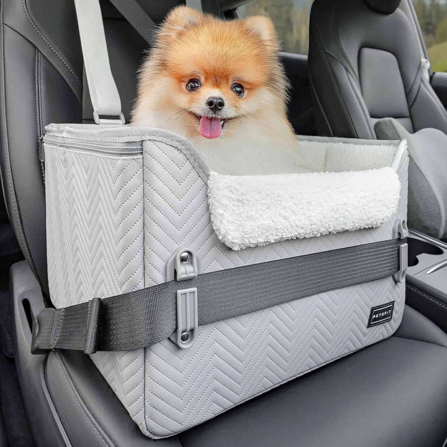 Small Dog Booster Car Seat