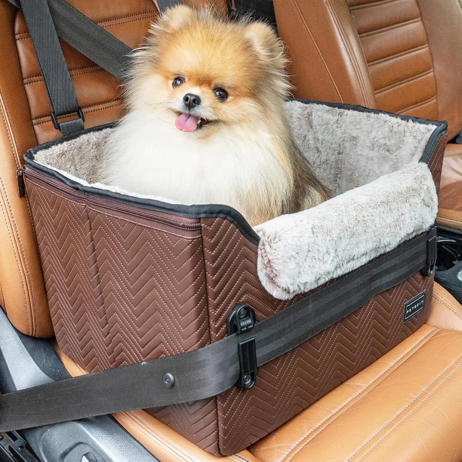 Small Dog Booster Car Seat