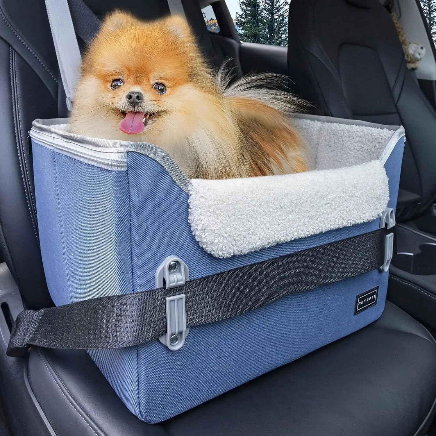 Small Dog Booster Car Seat