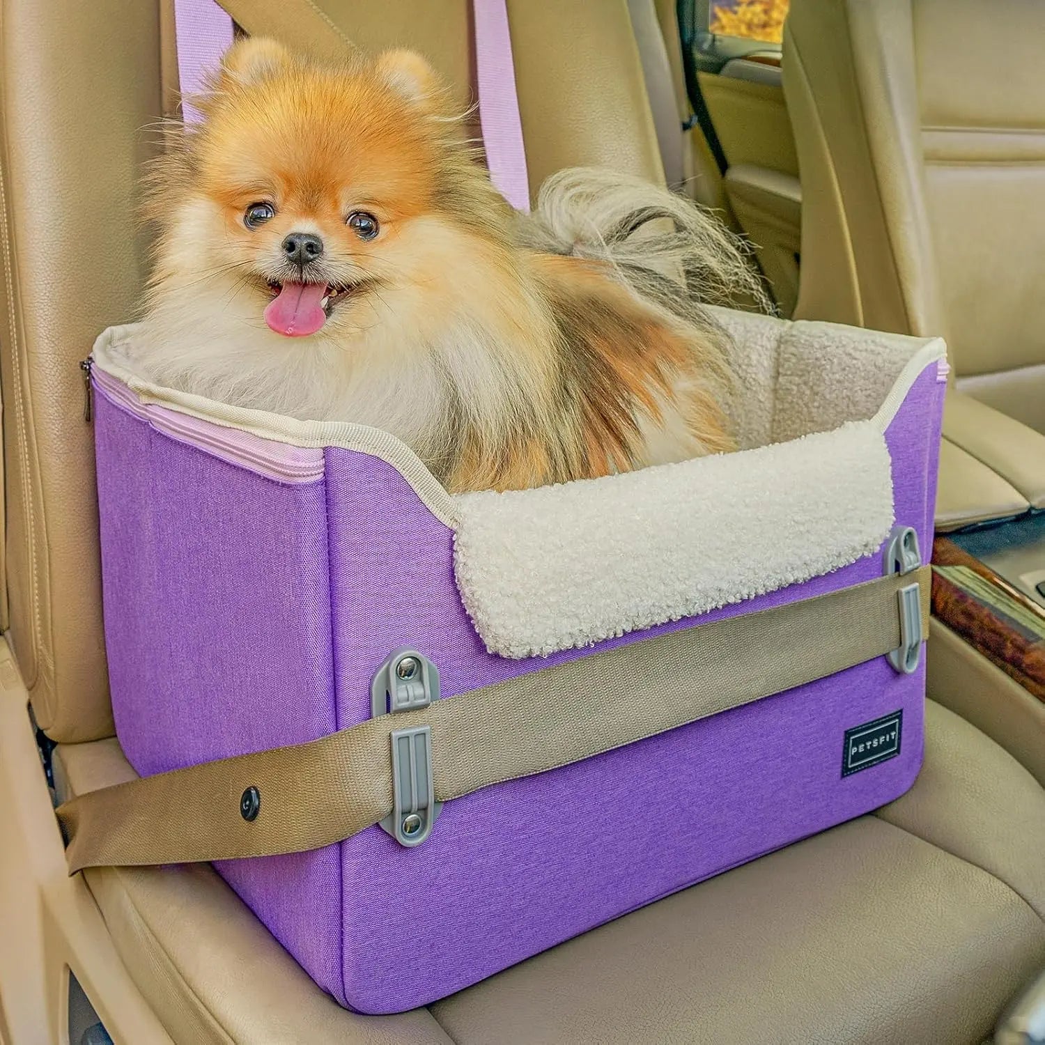 Small Dog Booster Car Seat