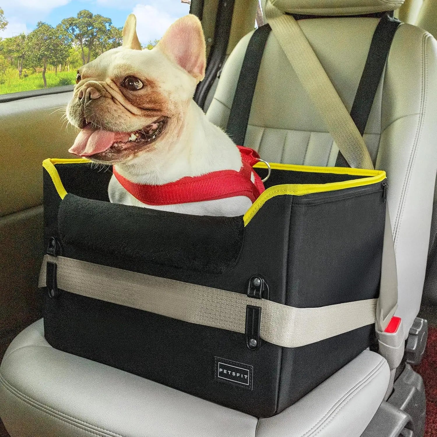 Small Dog Booster Car Seat