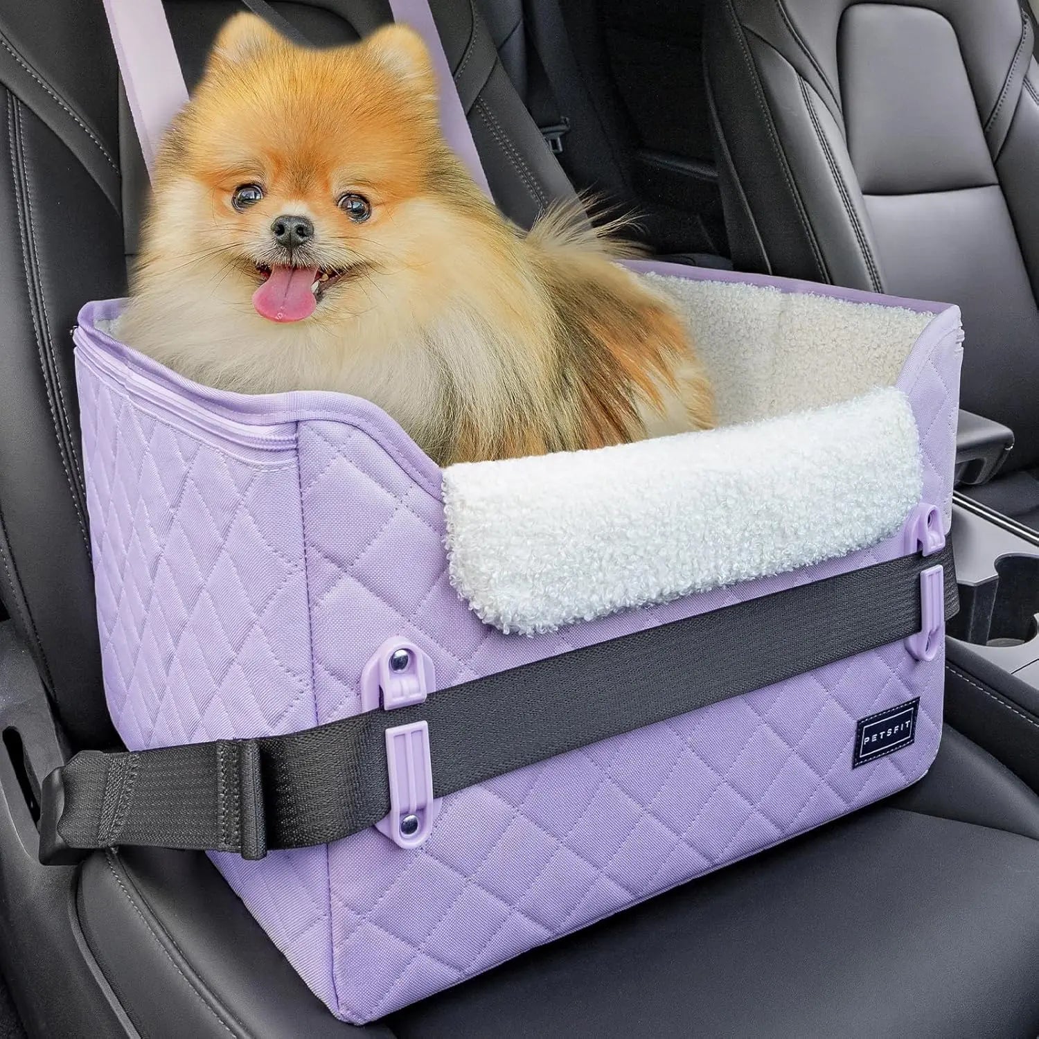 Small Dog Booster Car Seat