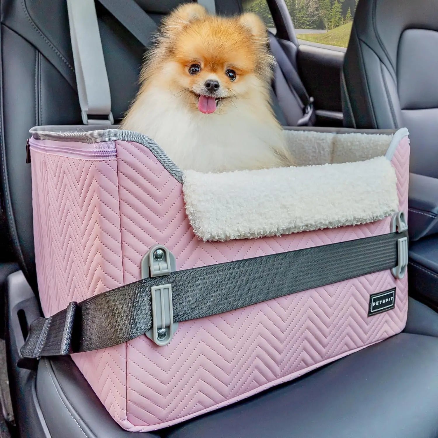 Small Dog Booster Car Seat